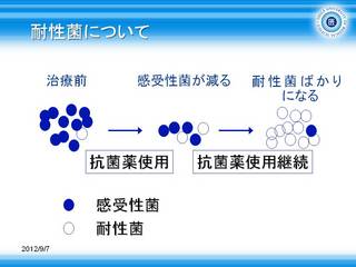 1耐性菌機序図.JPG