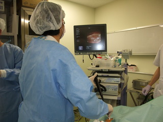 2012_0618VATs0001.JPG
