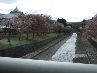 2016-04-08kokyuki 002.JPG