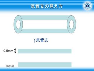 3Cǎx̌.JPG