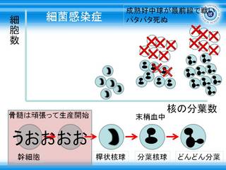 3細菌感染症.JPG