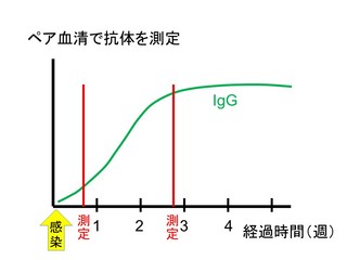 54ペア血清.jpg