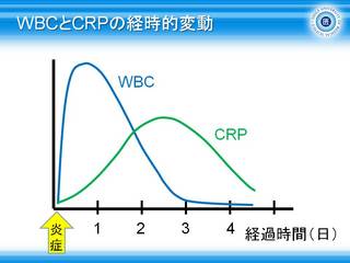 7WBCとCRPの経時的変動.jpg
