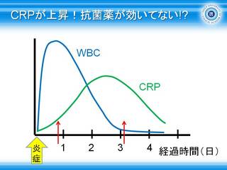 8CRPが上昇抗菌薬が効いてない.jpg