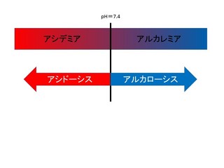 スライド14.JPG