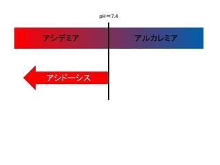 スライド15.JPG