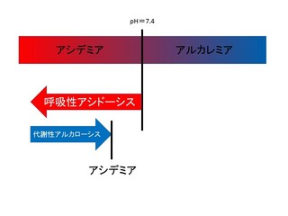 スライド17.JPG