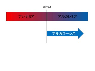 スライド18.JPG