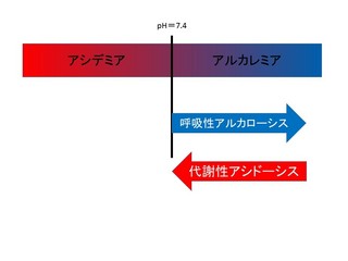 スライド19.JPG