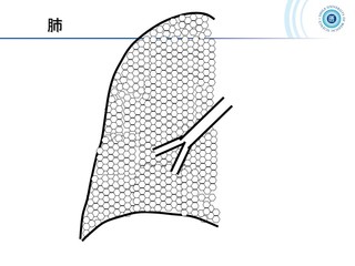 スライド19.JPG