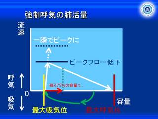 XCh48.JPG