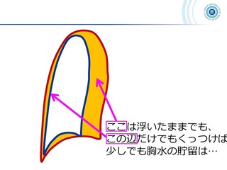スライド57.JPG