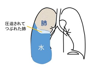 スライド74.JPG