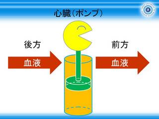 心不全スライド7.JPG