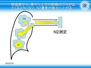 １０肺底部から、徐々に上方の肺胞のガスが出てくるようになり、N2濃度が徐々に上がる.JPG