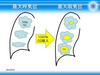 5容量変化の大きな肺底部に多くのO2が流入.JPG