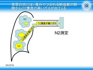 8気管の次には、重みでつぶれる肺底部の肺胞からO2濃度の高いガスが出てくる.JPG