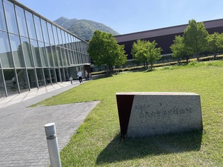 IMG_1334.JPG