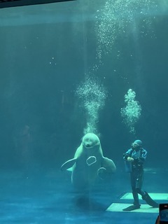 IMG_1875_Original.jpeg