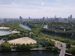 IMG_20190601_122630.jpg