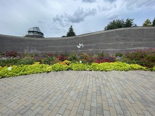 IMG_2264.JPG
