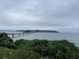 IMG_2560.JPG