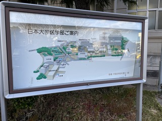 IMG_3390.JPG