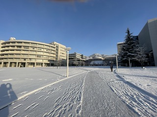 IMG_3537.jpg