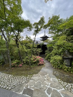 IMG_4346.JPG