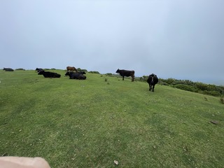 IMG_4780.JPG