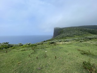 IMG_4787.JPG