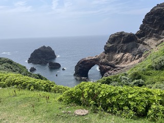 IMG_4790.JPG