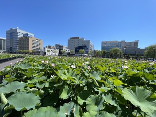IMG_4936.JPG