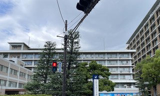 IMG_9011.JPG