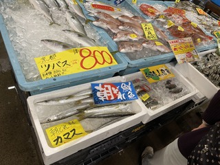 IMG_9825.JPG